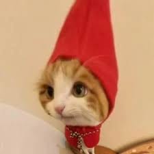 Samantha Ferrer avatar